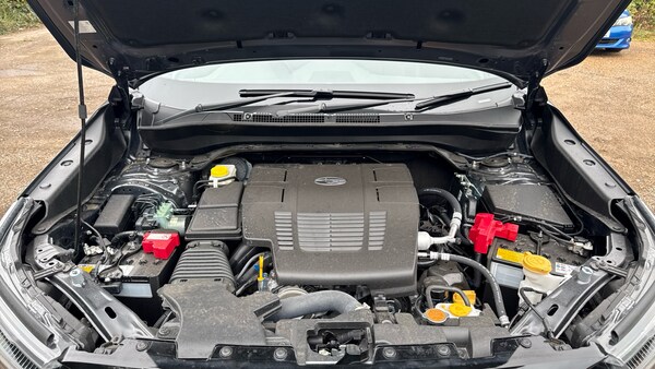 Used Subaru Forester for sale - 76324917: Photo 23