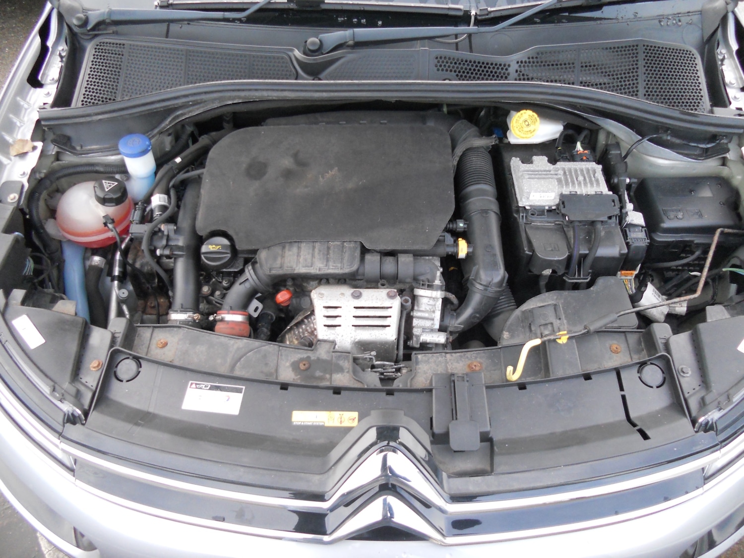 Used Citroen C4 Cactus 2018 for sale - 75918531: Photo 27