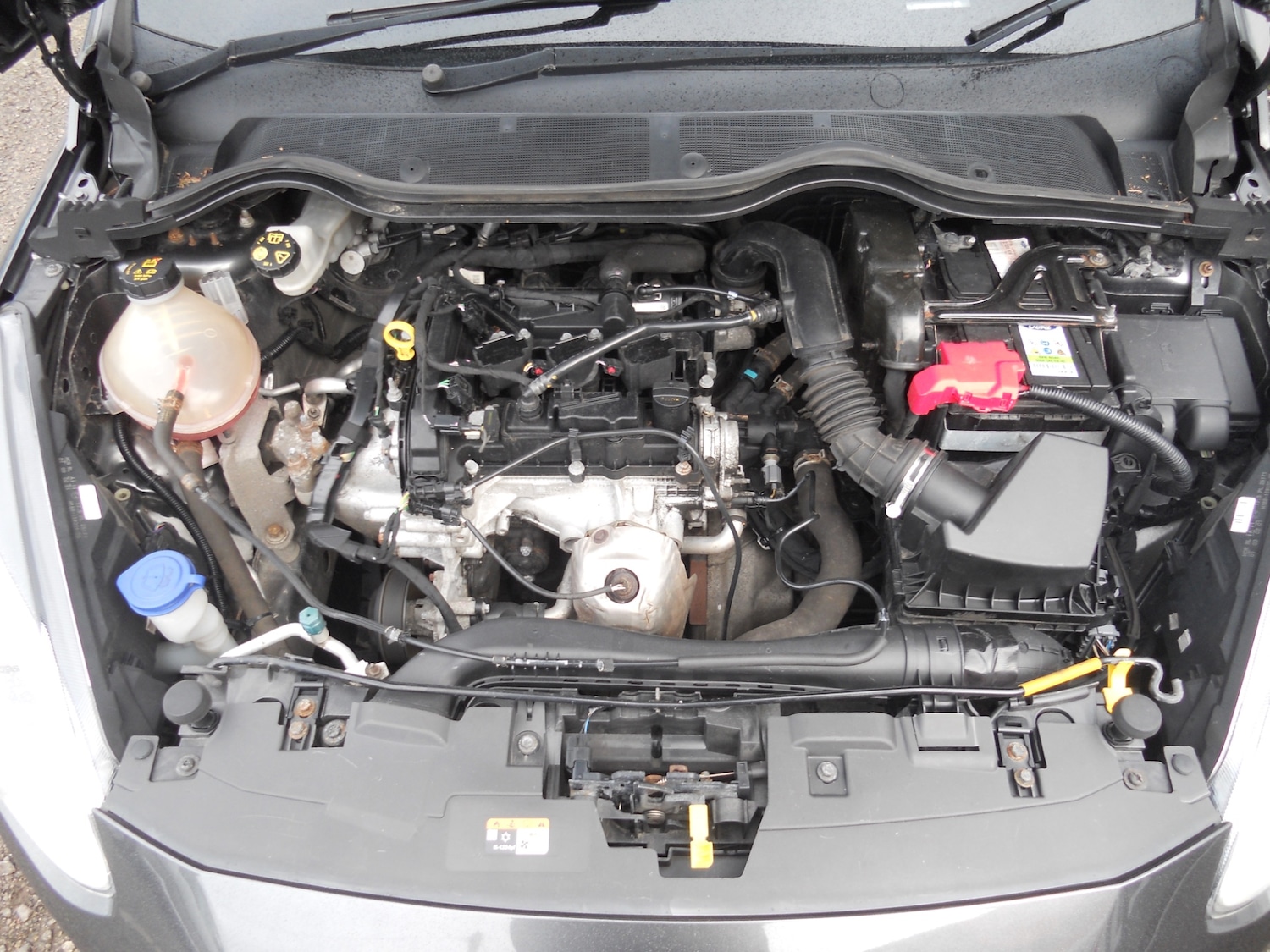 Used Ford Fiesta 2017 for sale - 76195869: Photo 26