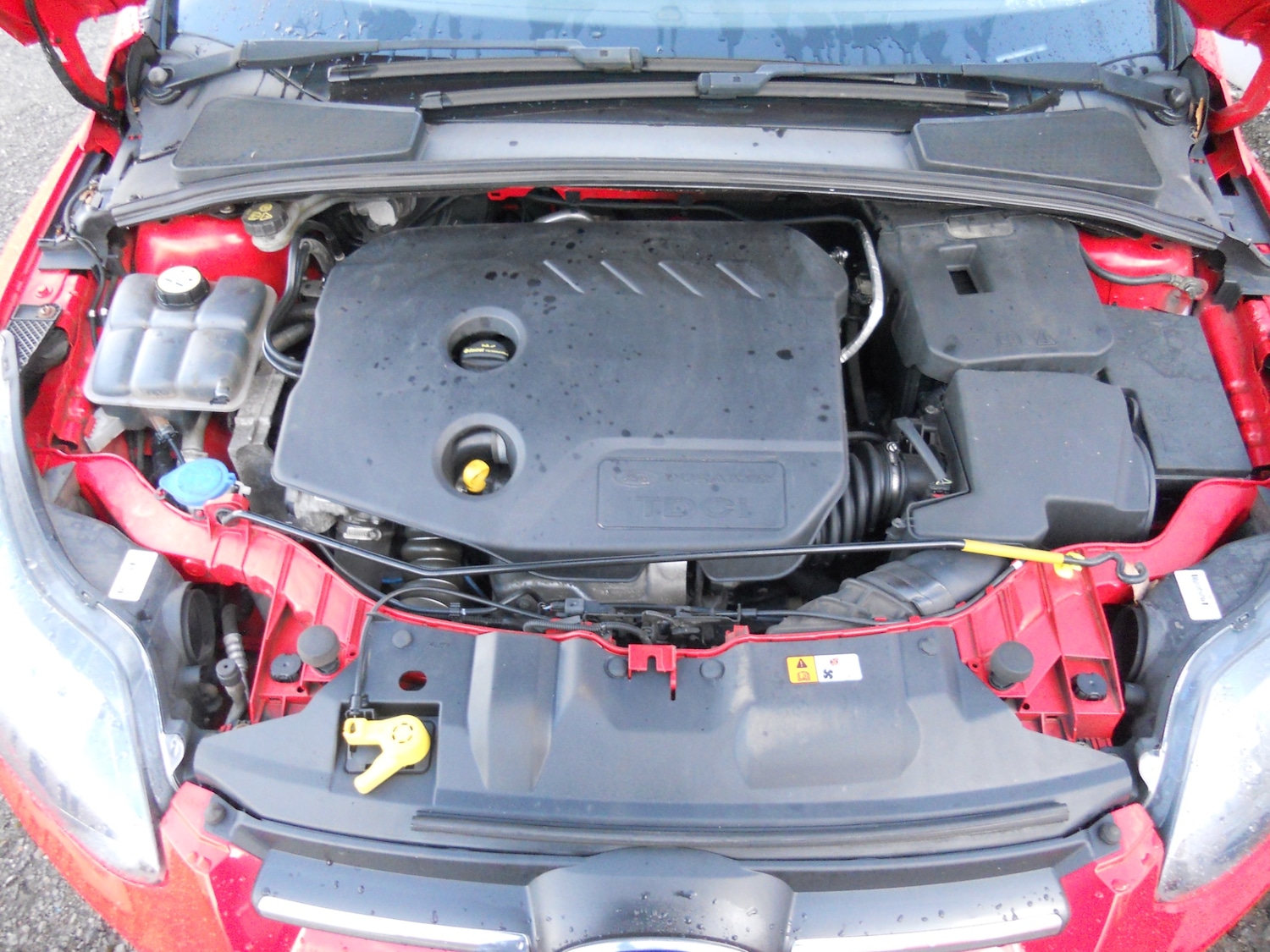 Used Ford Focus 2014 for sale - 77114126: Photo 26