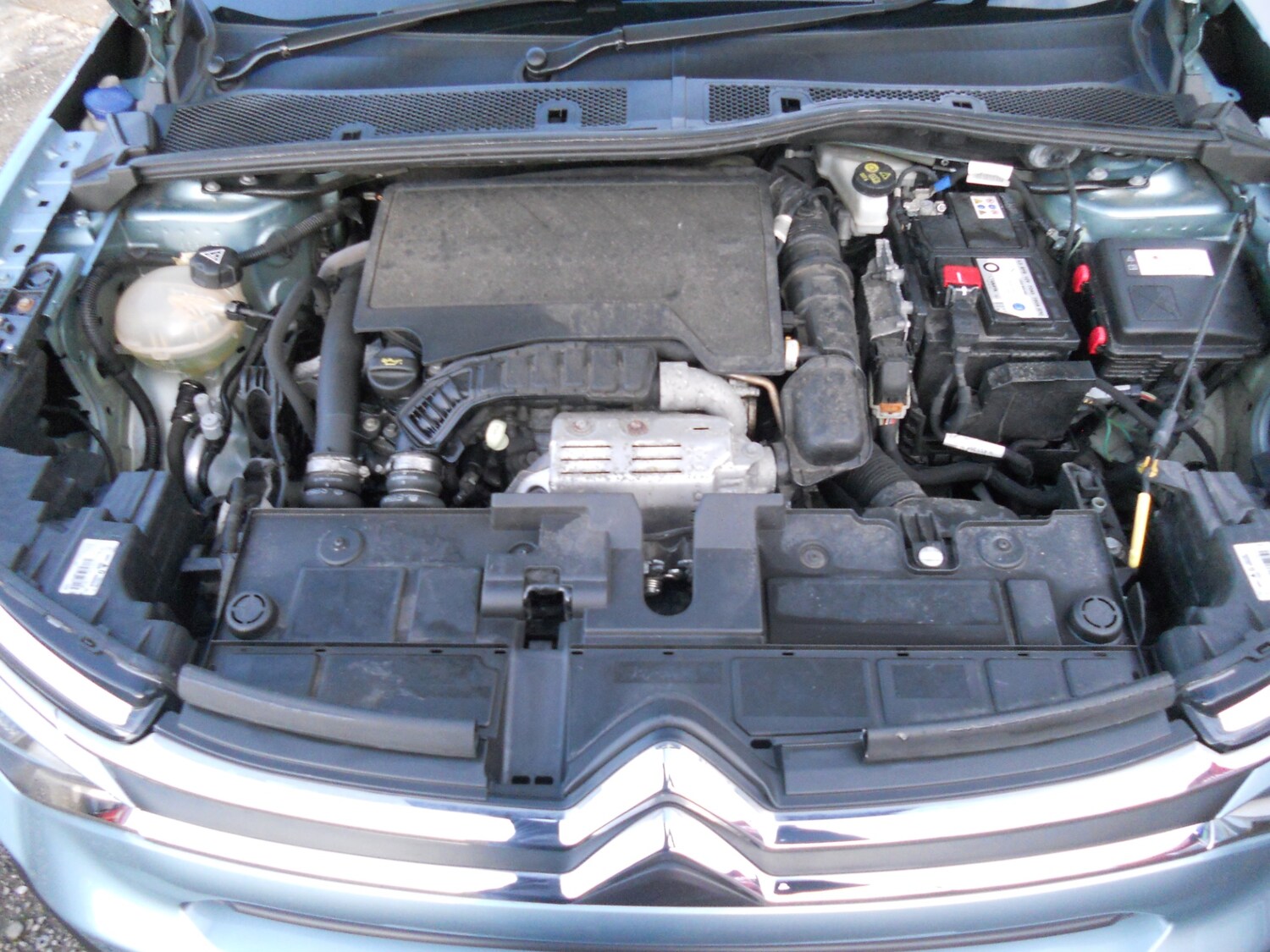 Used Citroen C4 2022 for sale - 76292292: Photo 25