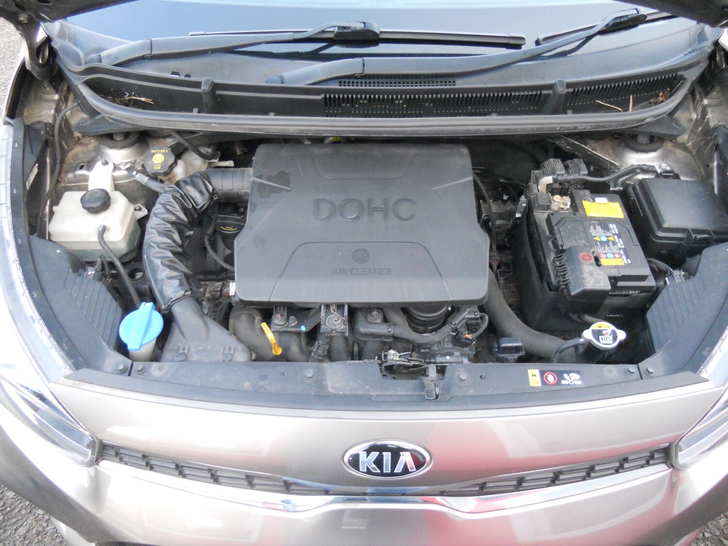 Used Kia Picanto 2019 for sale - 75773406: Photo 27