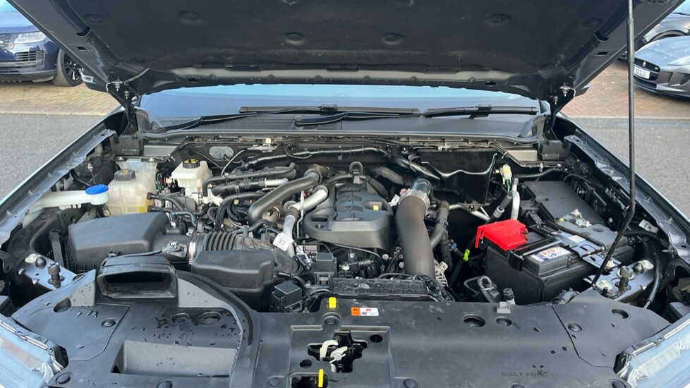 Used Ford Ranger 2024 for sale - 76937545: Photo 16