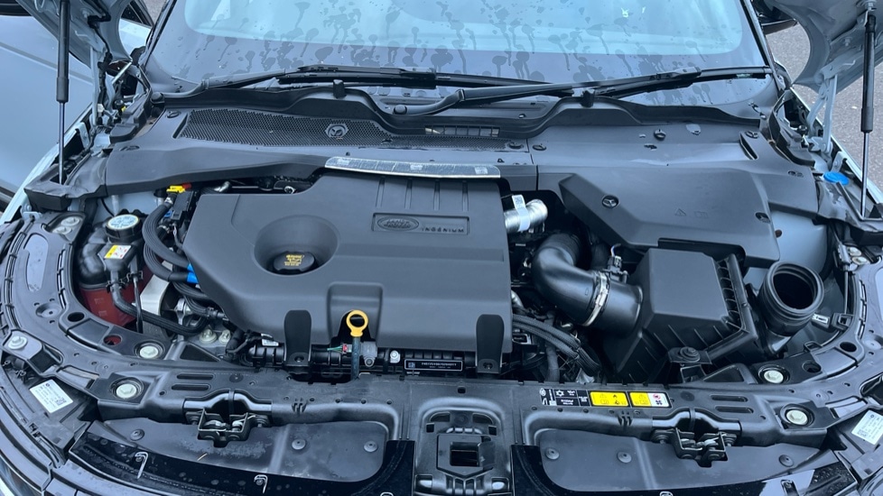 Used Land Rover Range Rover Evoque 2025 for sale - 76773060: Photo 16