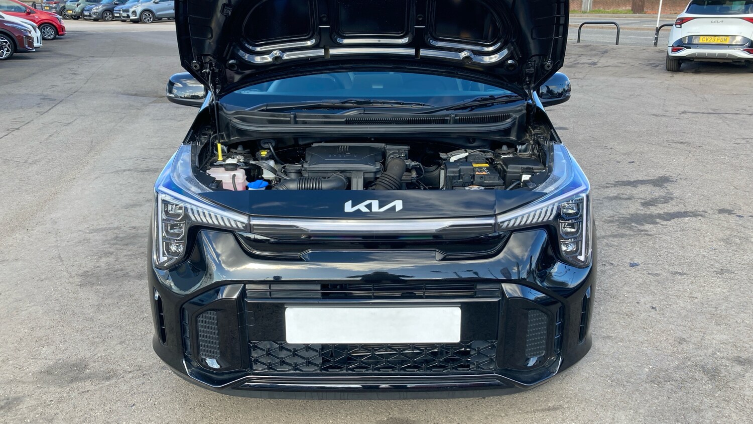 Used Kia Picanto 2025 for sale - 78150532: Photo 8