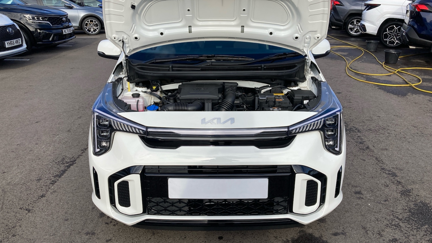 Used Kia Picanto 2025 for sale - 76403149: Photo 8