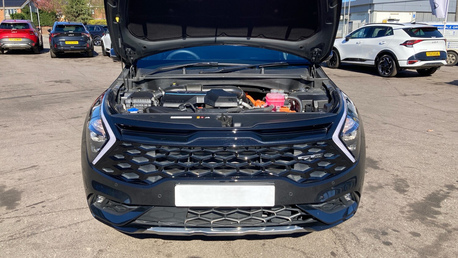 Used Kia Sportage 2025 for sale - 78149842: Photo 8