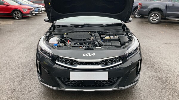 Used Kia XCeed 2025 for sale - 76275892: Photo 8