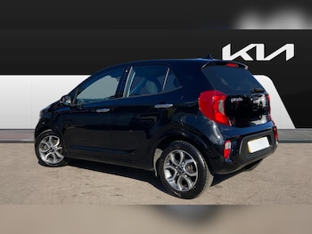 Used Kia Picanto 2023 for sale - 77845177: Photo