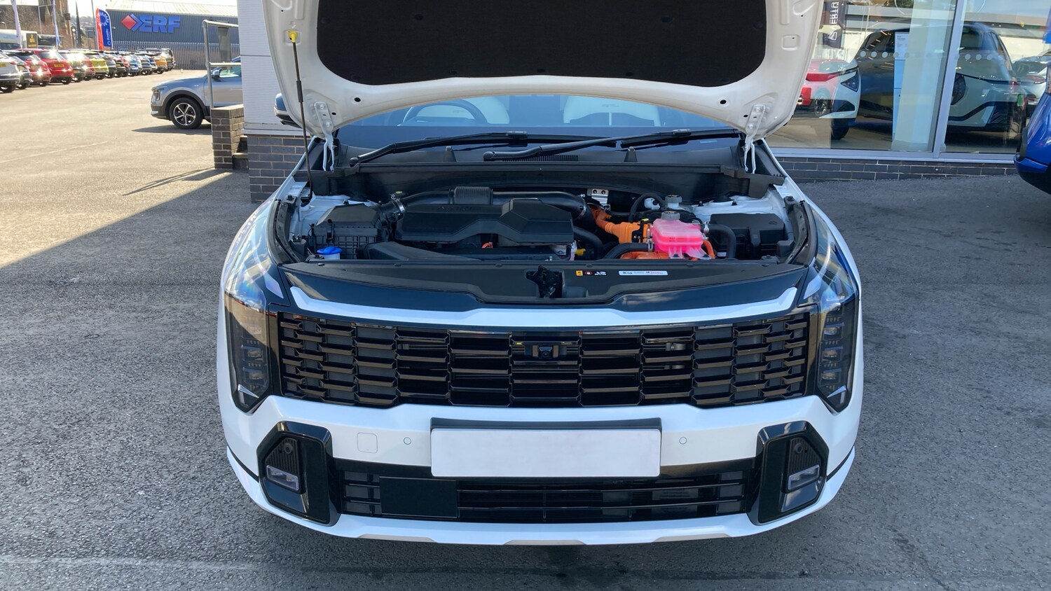 Used Kia Sportage 2025 for sale - 78131706: Photo 8