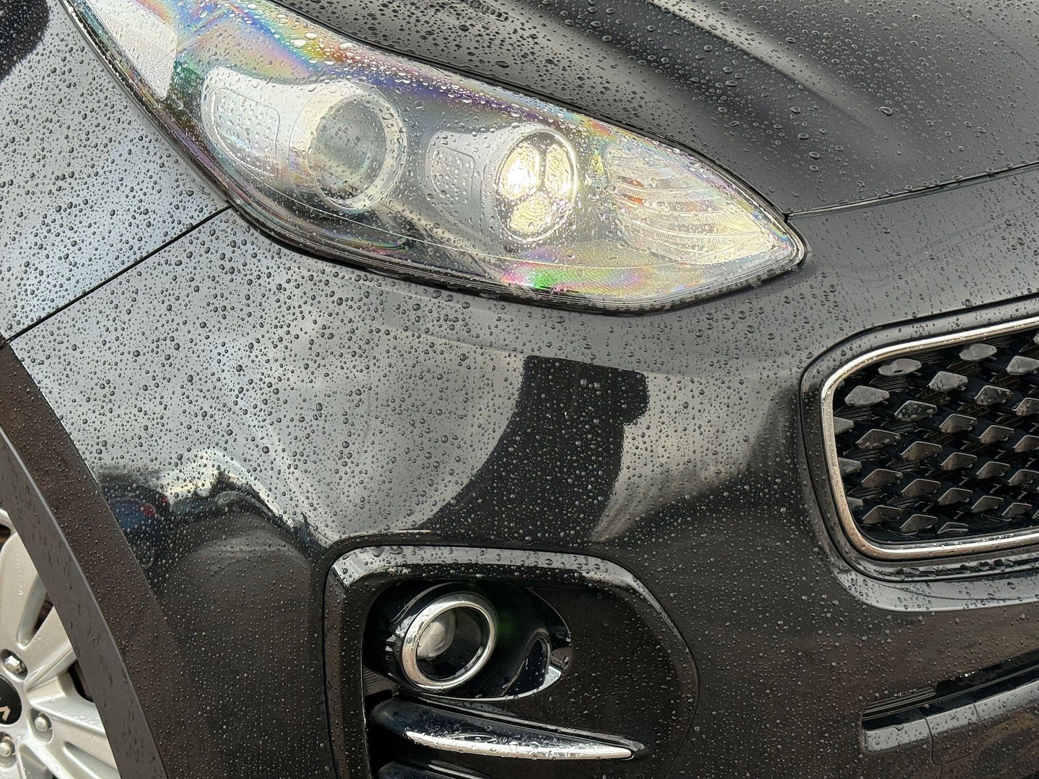 Used Kia Sportage for sale - 77892894: Photo 61