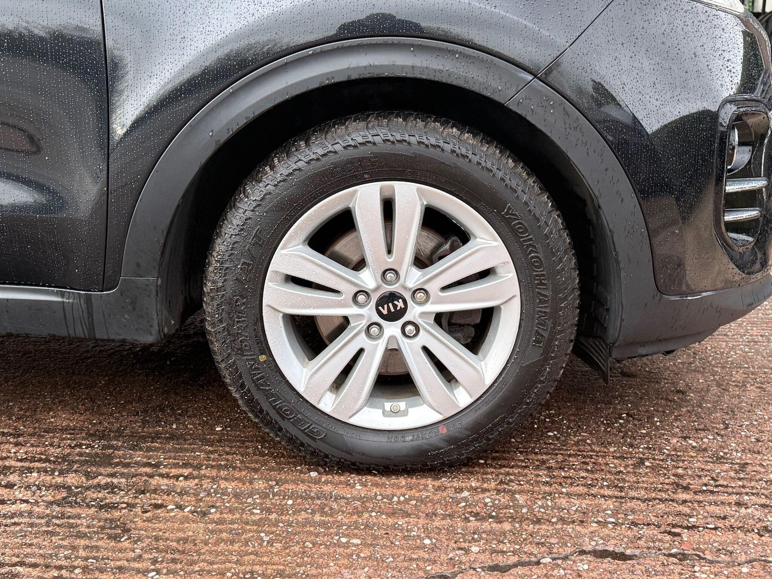 Used Kia Sportage for sale - 77892894: Photo 63