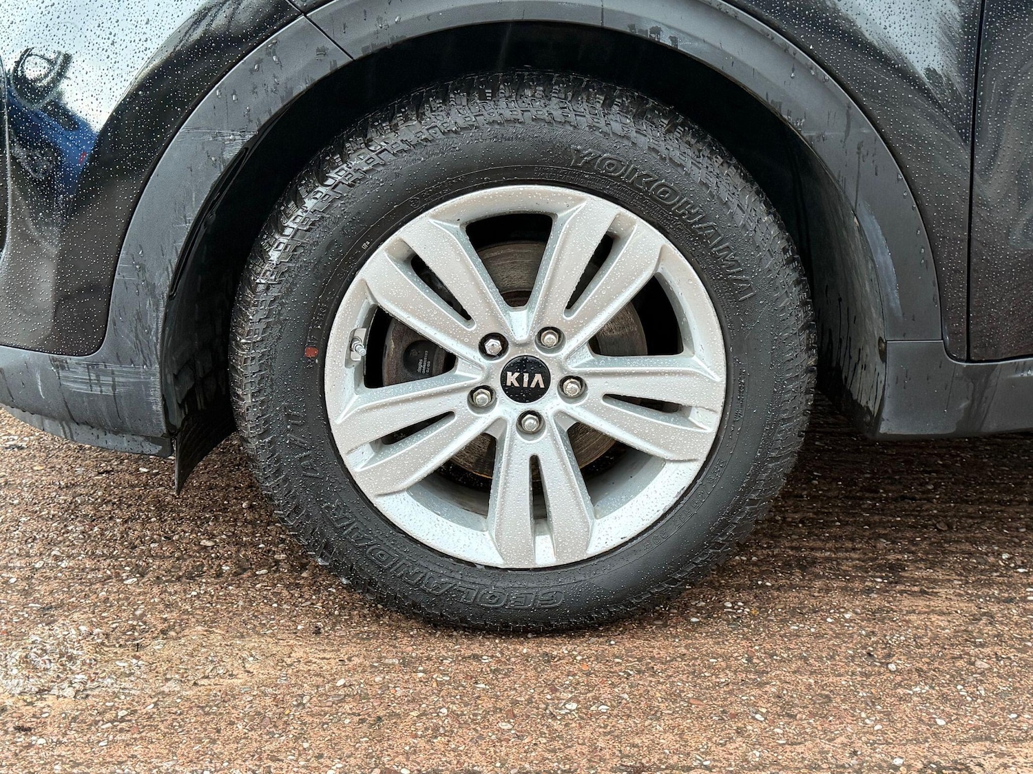 Used Kia Sportage for sale - 77892894: Photo 64