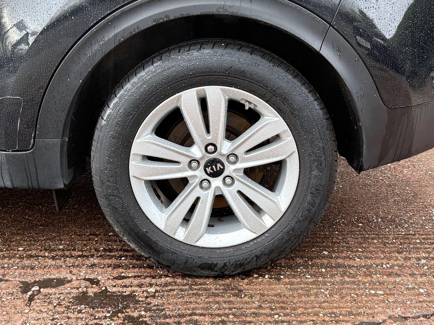 Used Kia Sportage for sale - 77892894: Photo 65