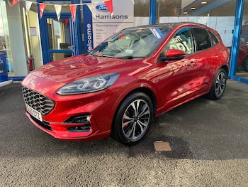 Used Ford Kuga 2020 for sale - 76782777: Photo