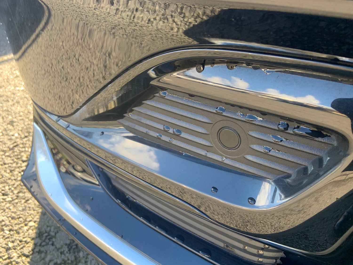 Used Ford Focus 2023 for sale - 77779365: Photo 4