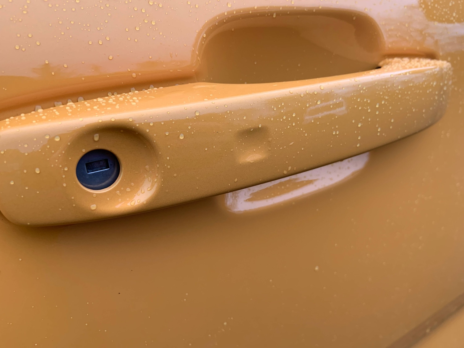 Used Ford Ranger 2024 for sale - 77716506: Photo 5