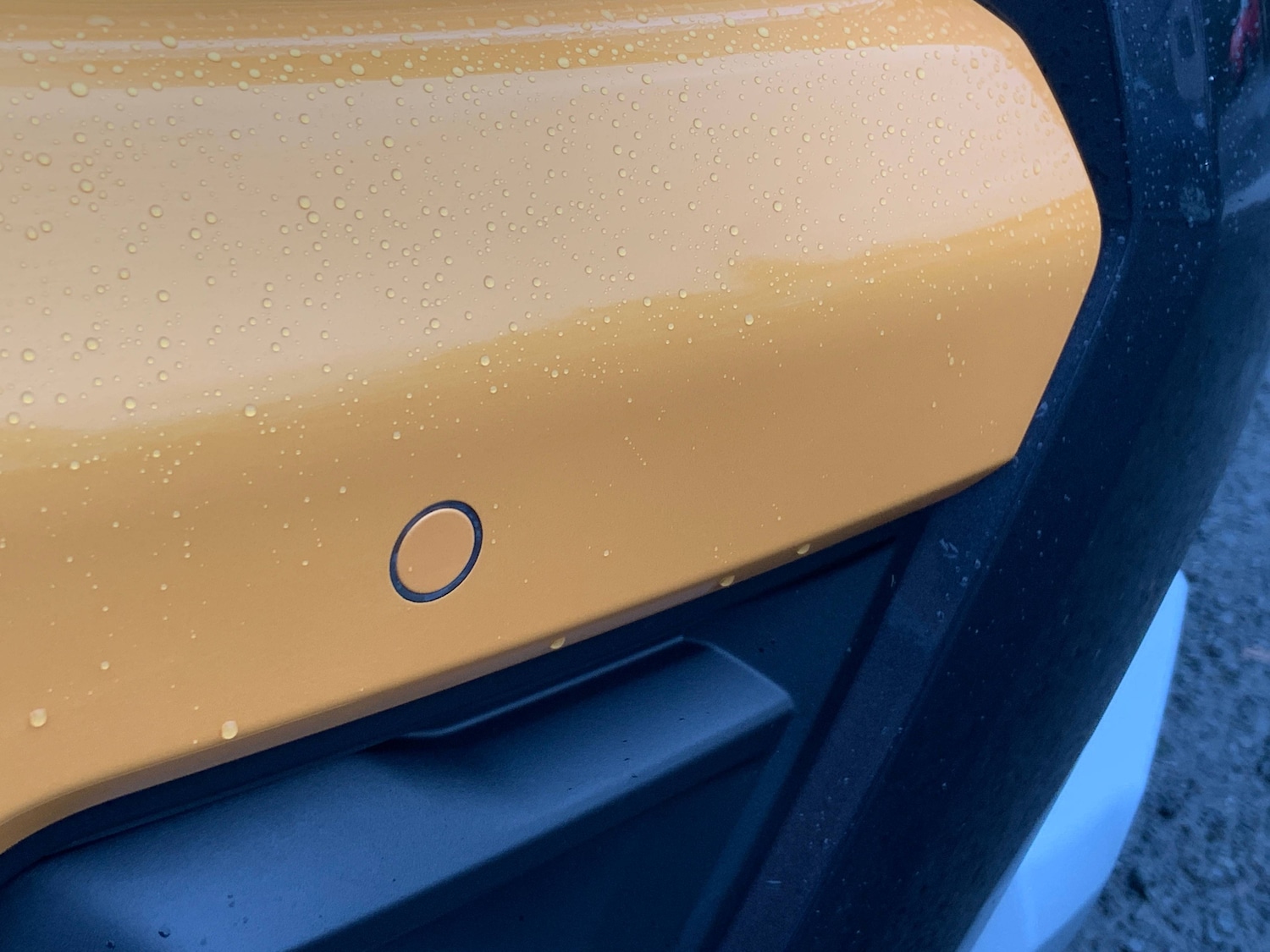 Used Ford Ranger 2024 for sale - 77418567: Photo 3