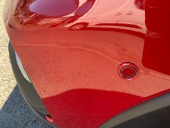 Used Ford Focus 2021 for sale - 74951261: Photo
