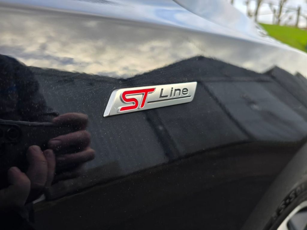 Used Ford Focus 2023 for sale - 77003278: Photo 15