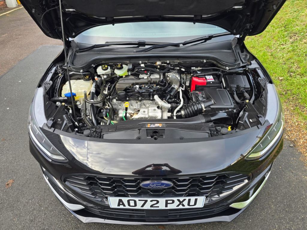 Used Ford Focus 2023 for sale - 77003278: Photo 20