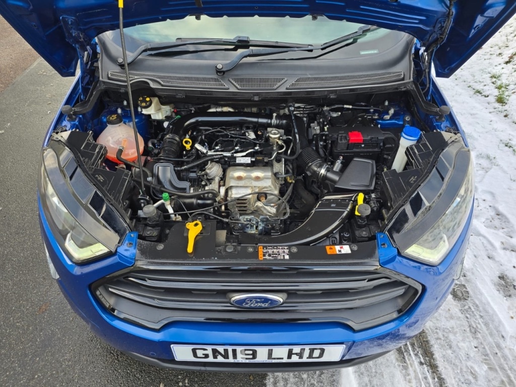 Used Ford Ecosport 2019 for sale - 77107060: Photo 37