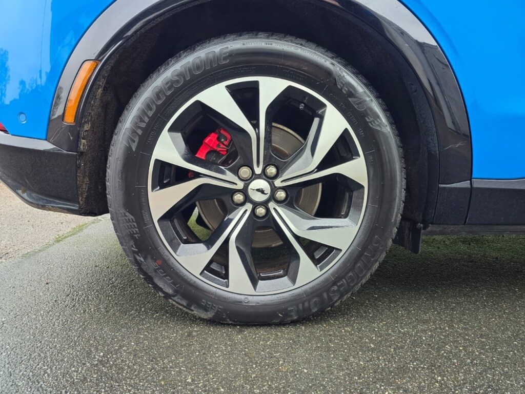 Used Ford Mustang Mach-E 2024 for sale - 77431527: Photo 32