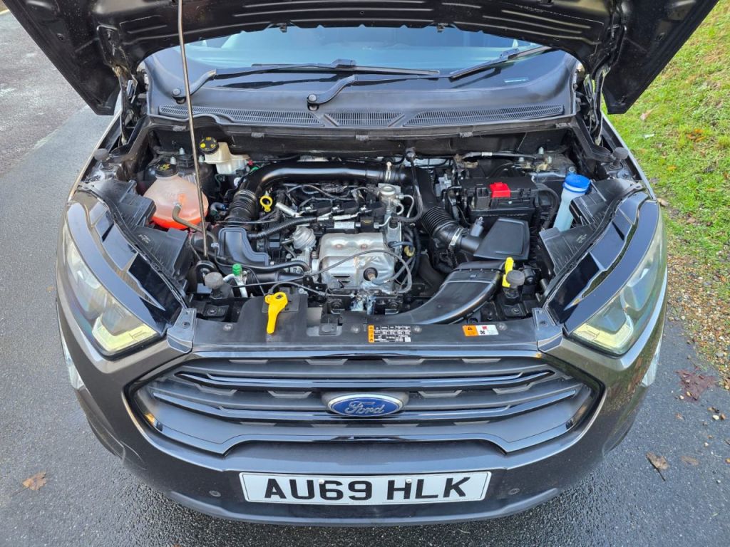 Used Ford Ecosport 2019 for sale - 76428957: Photo 24