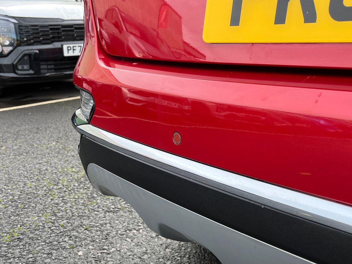 Used Kia Sportage 2019 for sale - 76922974: Photo 31