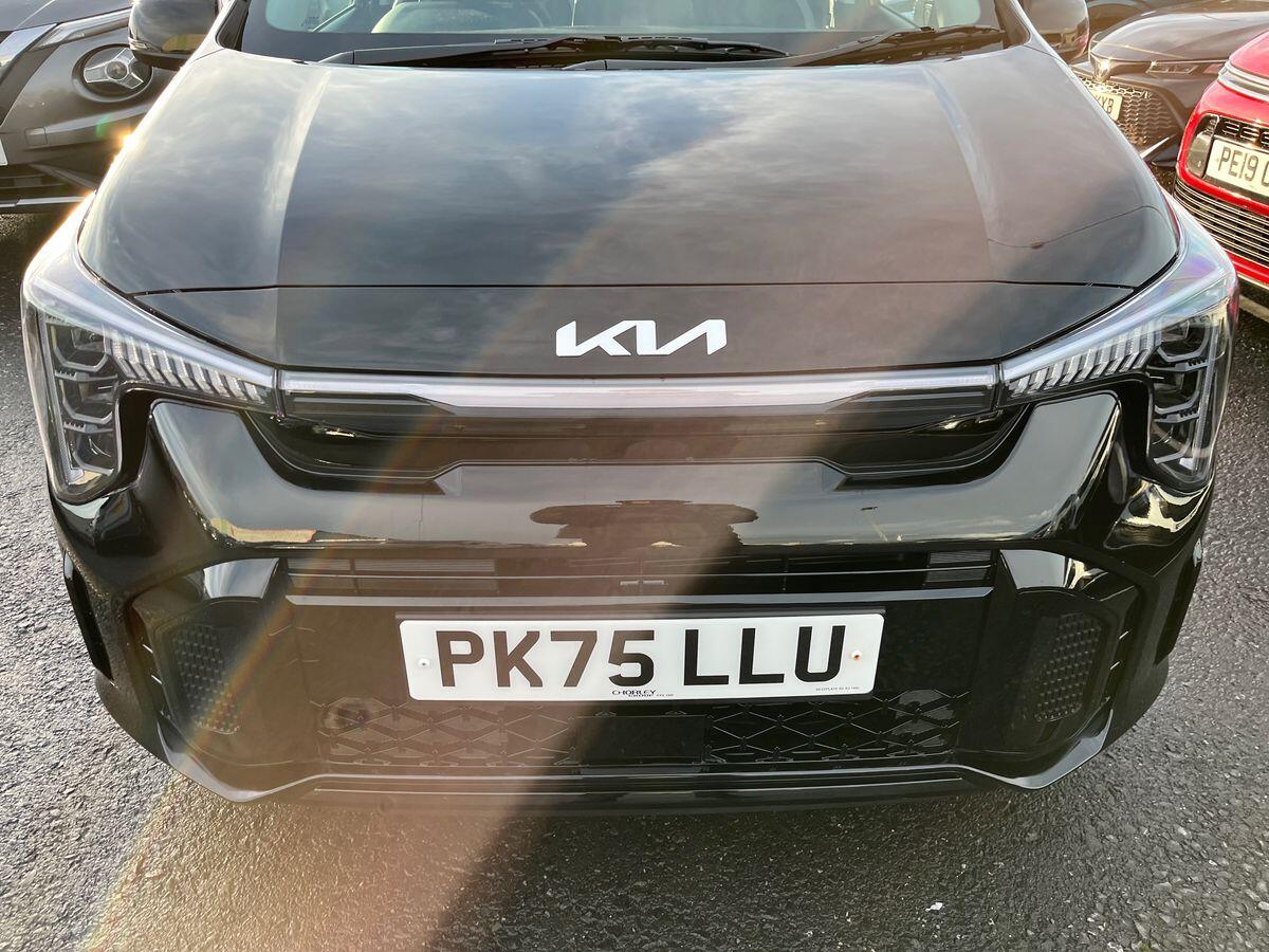 Used Kia Picanto 2025 for sale - 77615900: Photo 24