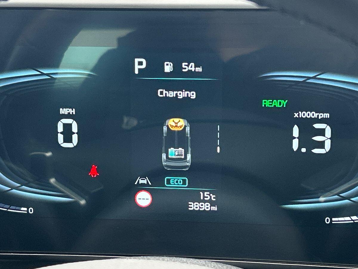 Used Kia Sportage 2025 for sale - 76194054: Photo 51