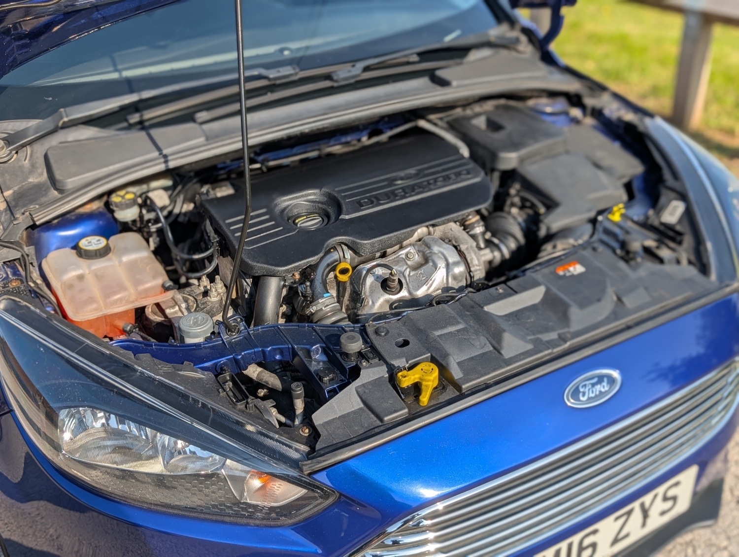 Used Ford Focus 2016 for sale - 76379288: Photo 26