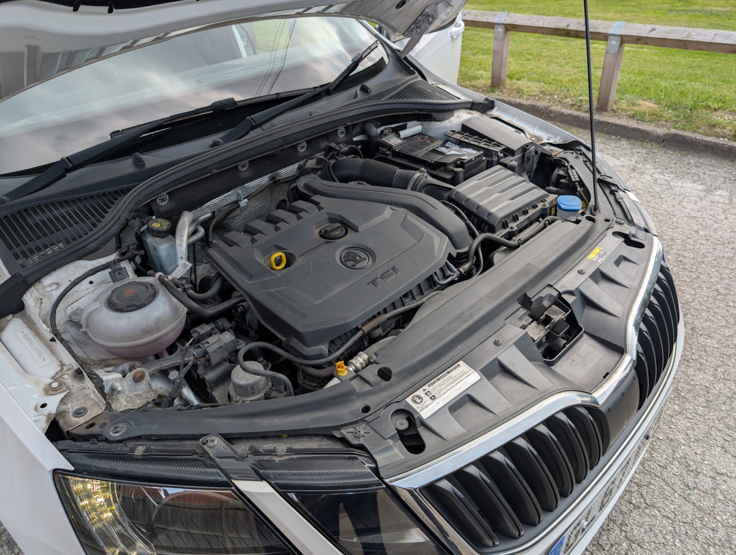 Used Skoda Octavia 2017 for sale - 76290200: Photo 21