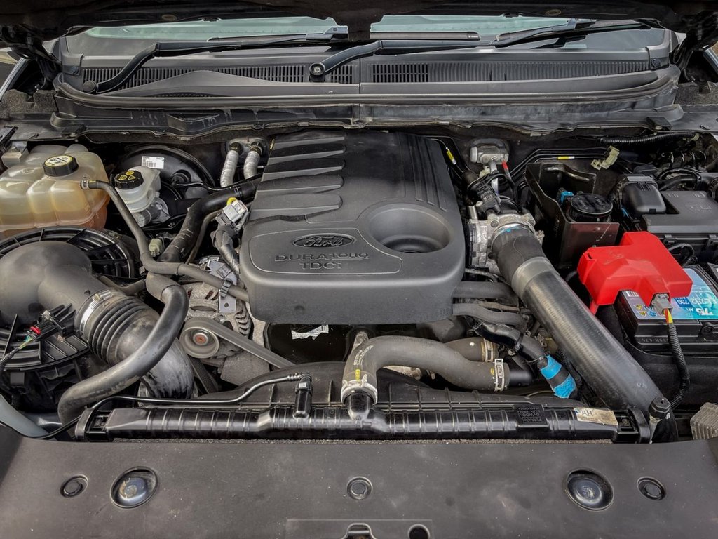 Used Ford Ranger 2017 for sale - 77262966: Photo 44