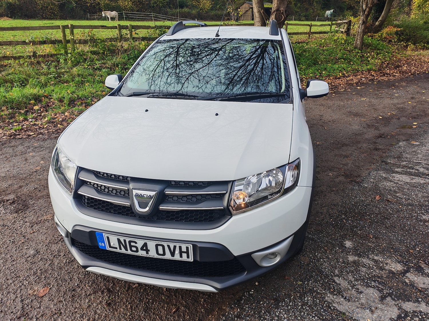 Used Dacia Sandero Stepway 2014 for sale - 76591582: Photo 1