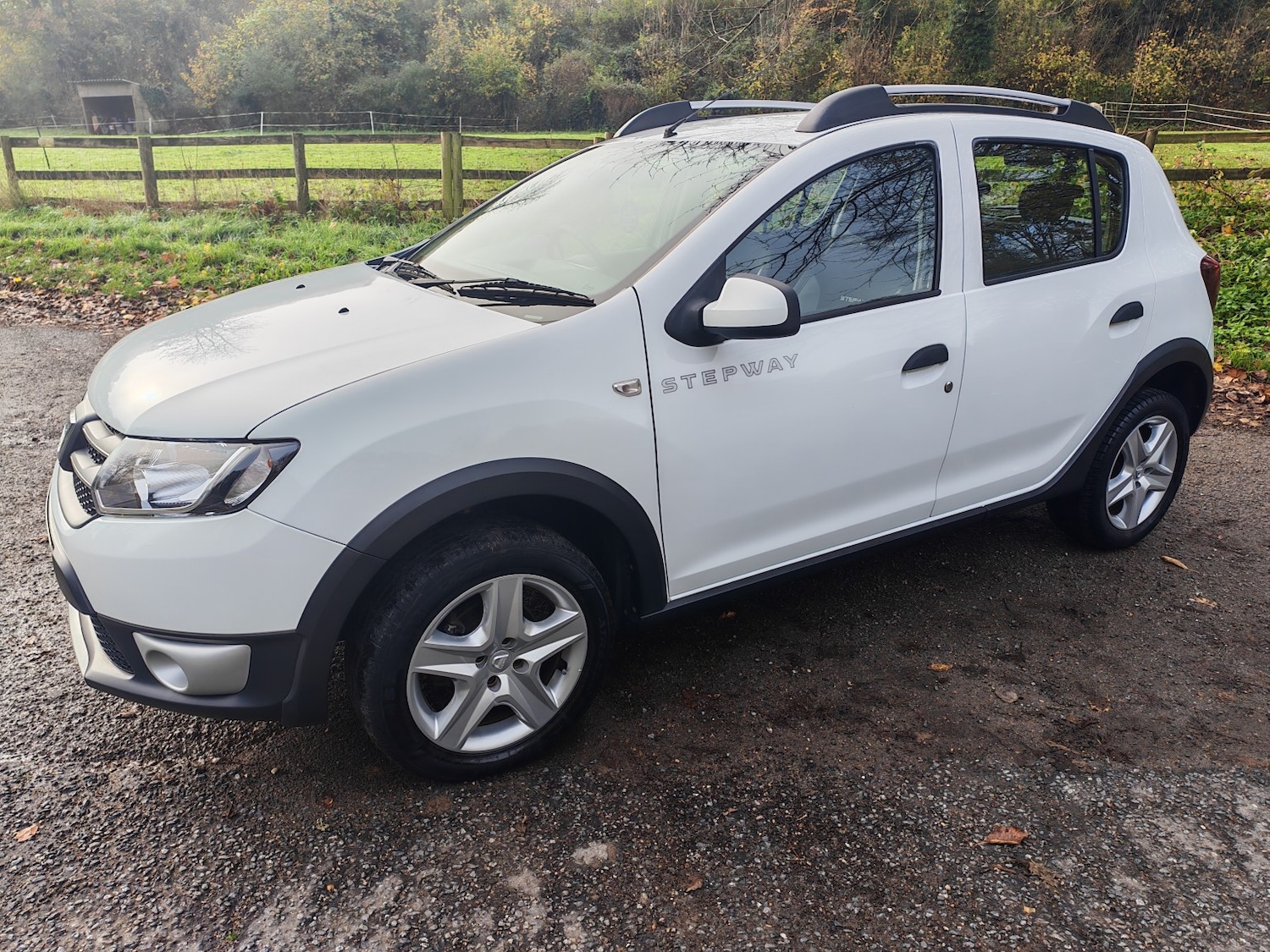 Used Dacia Sandero Stepway 2014 for sale - 76591582: Photo 4