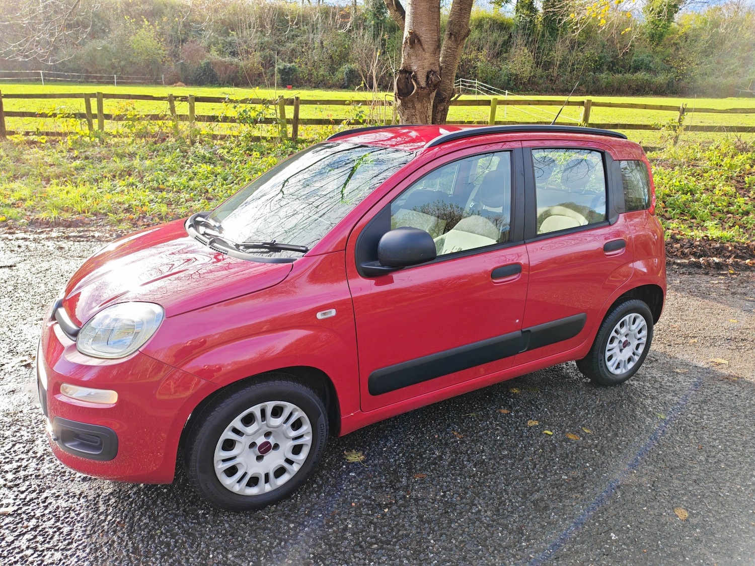 Used Fiat Panda 2014 for sale - 76687176: Photo 2