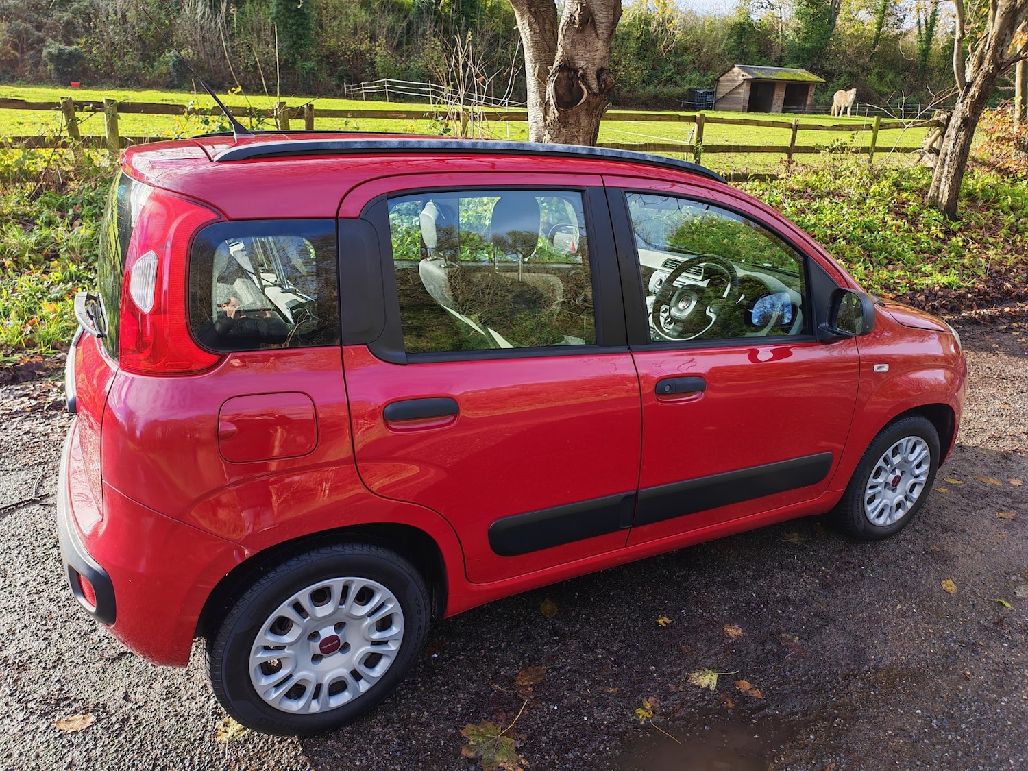Used Fiat Panda 2014 for sale - 76687176: Photo 3