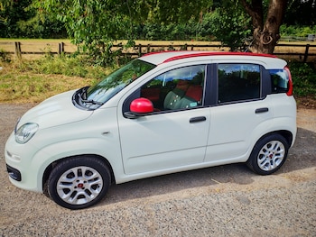 Used Fiat Panda 2015 for sale - 79463343: Photo