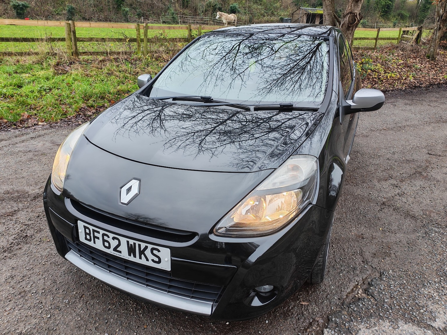 Used Renault Clio 2012 for sale - 77107656: Photo 1