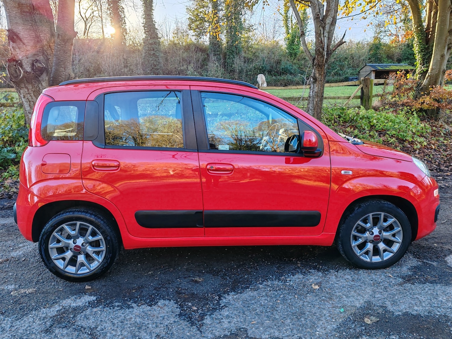 Used Fiat Panda 2019 for sale - 76807228: Photo 2