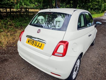 Used Fiat 500 2019 for sale - 79735391: Photo