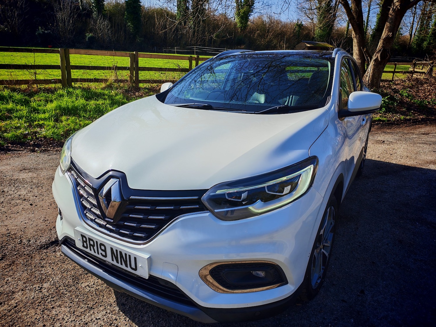 Used Renault Kadjar 2019 for sale - 77668521: Photo 1