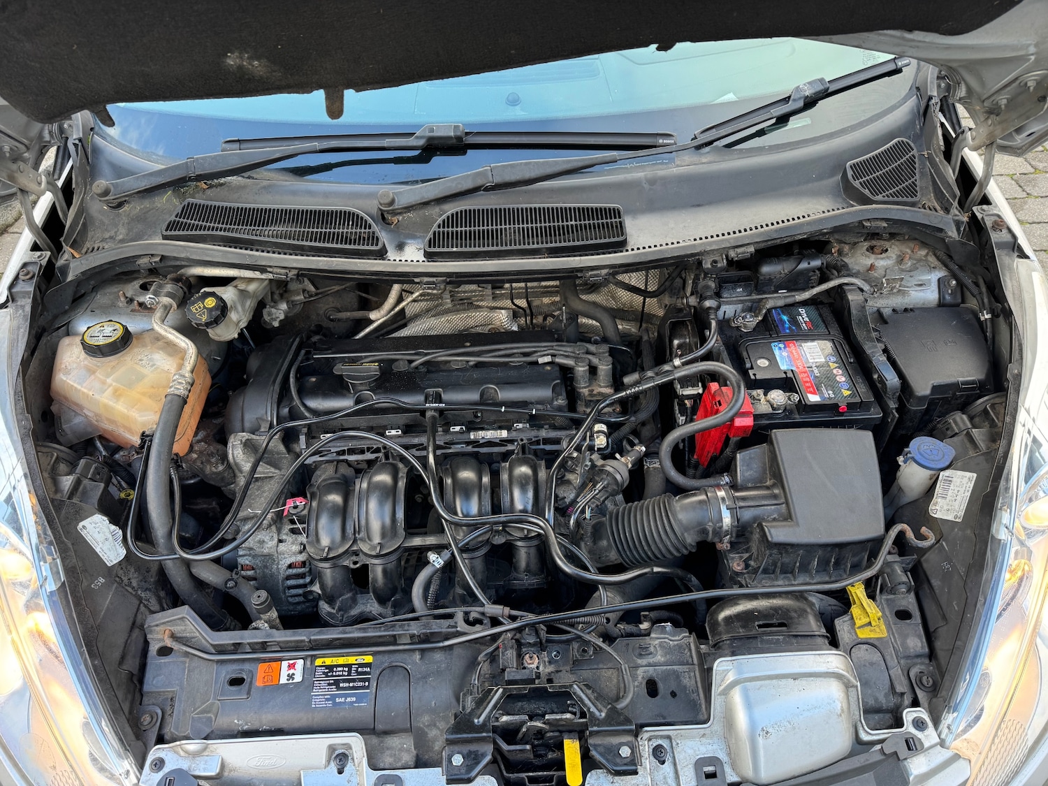 Used Ford Fiesta 2009 for sale - 77154685: Photo 15