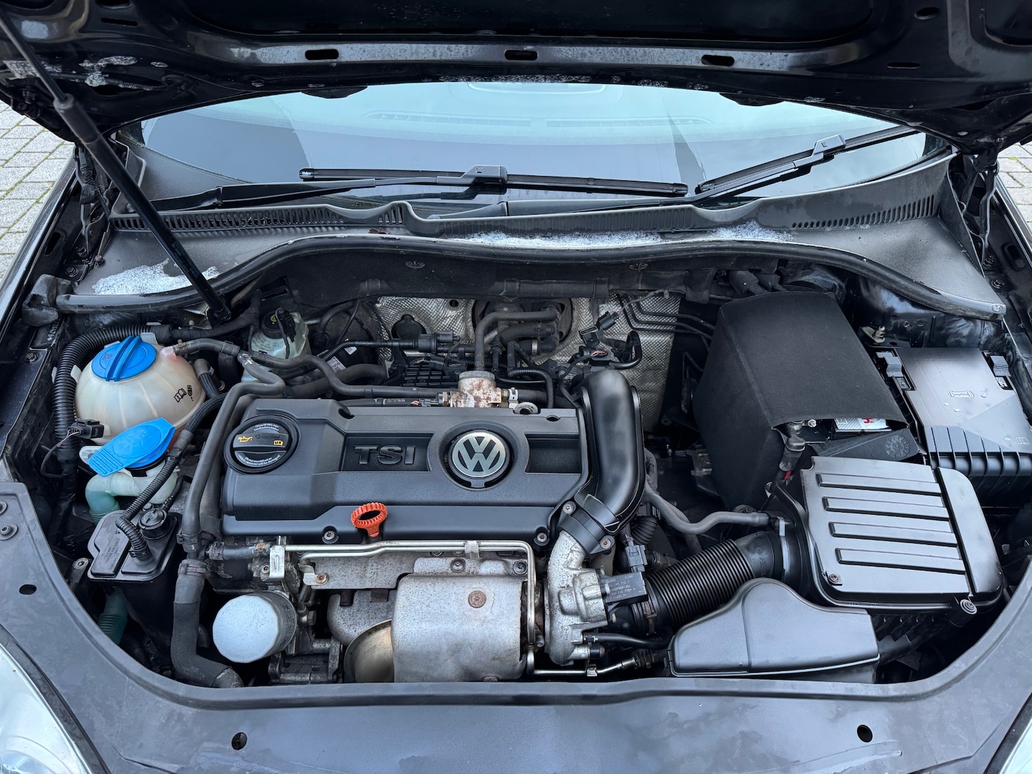 Used Volkswagen Golf 2009 for sale - 77807512: Photo 17