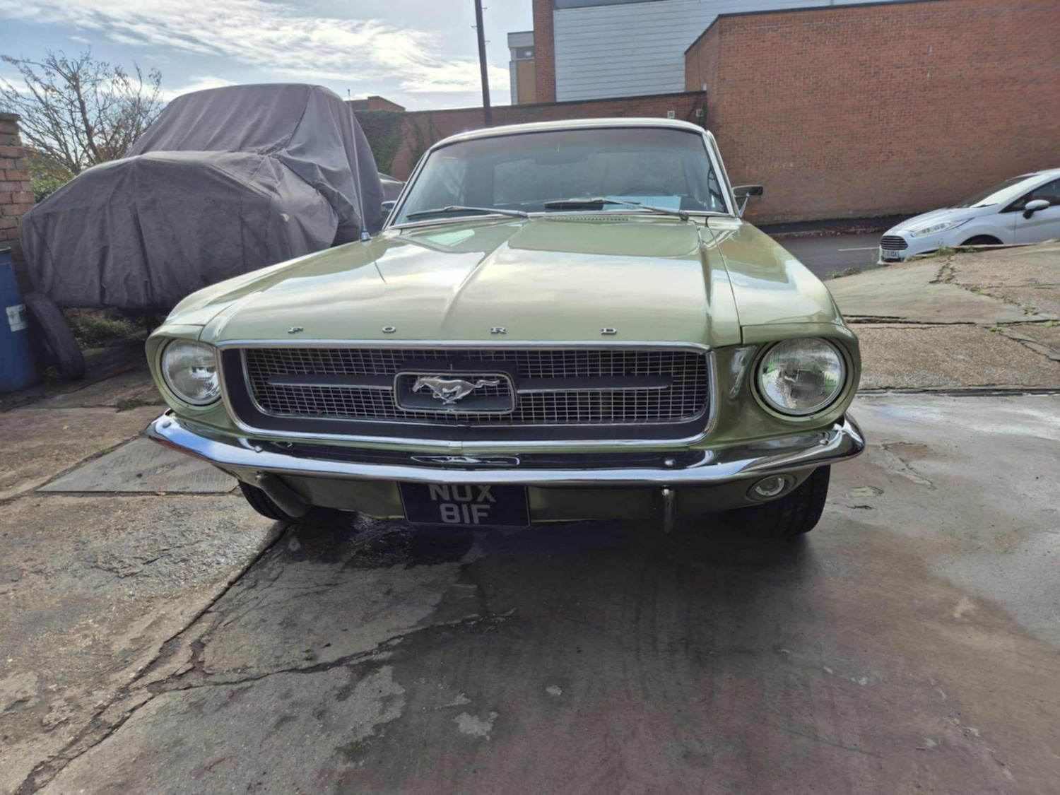 Used Ford Mustang 1967 for sale - 76588896: Photo 2