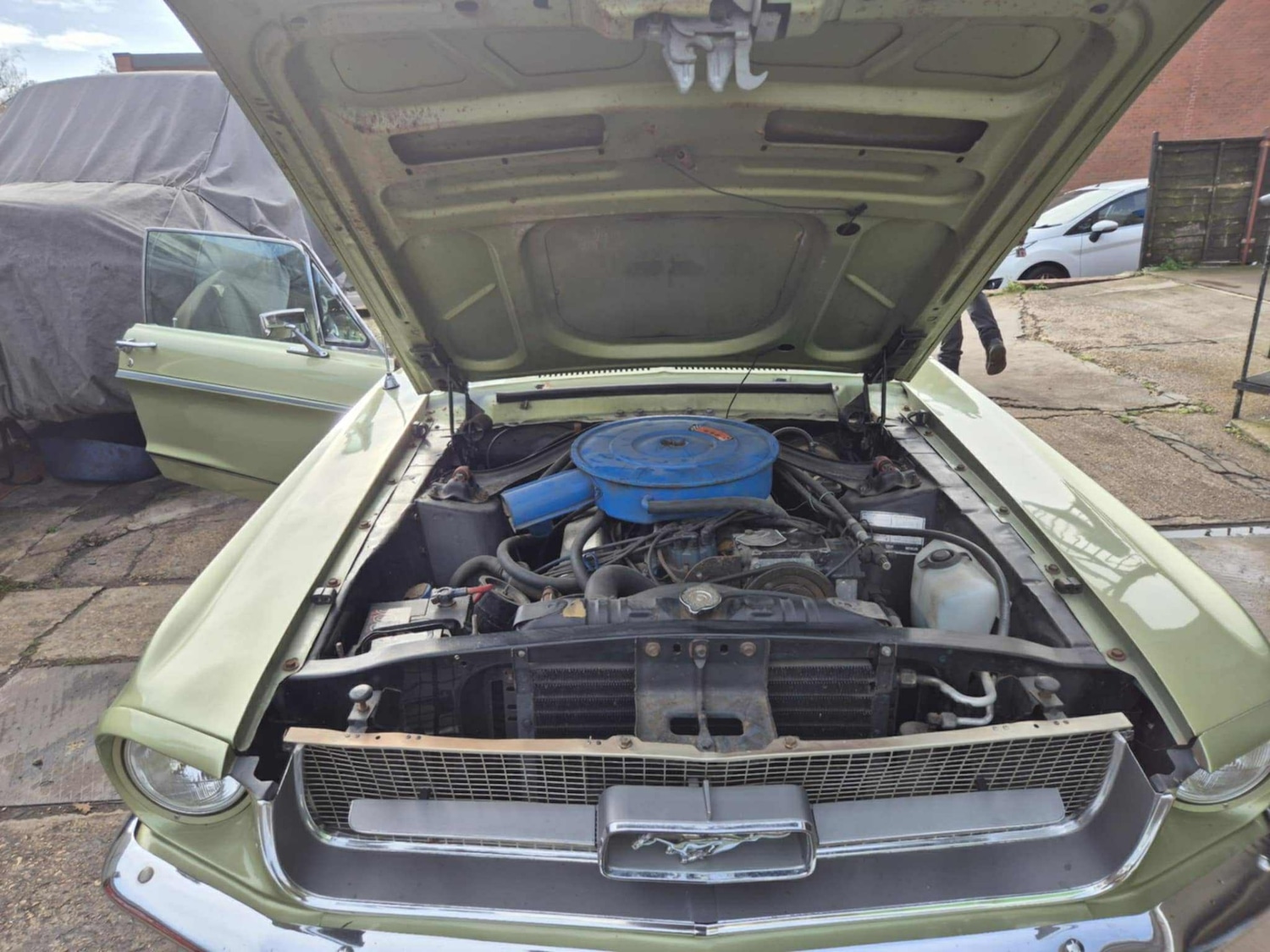 Used Ford Mustang 1967 for sale - 76588896: Photo 20