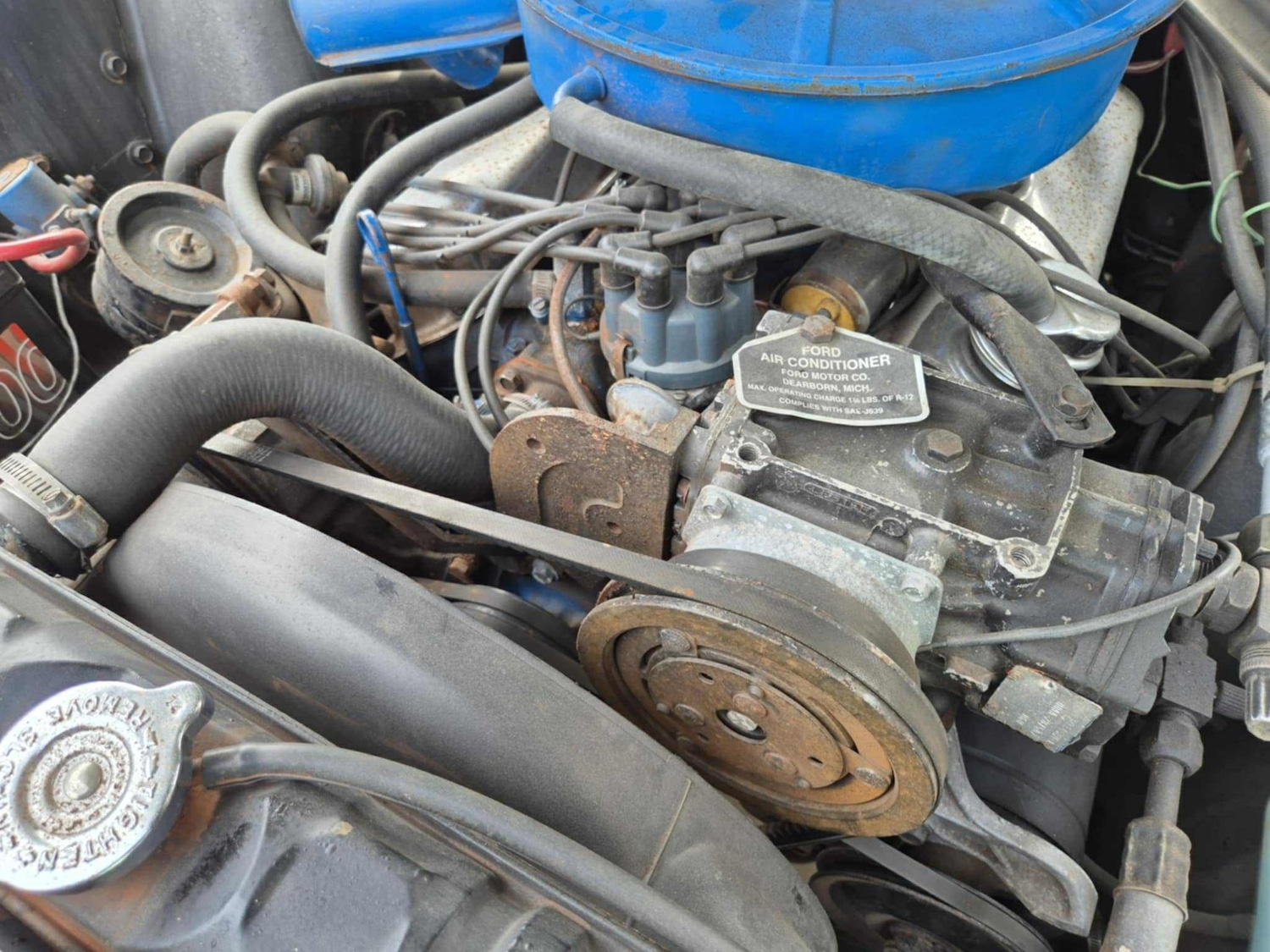 Used Ford Mustang 1967 for sale - 76588896: Photo 22