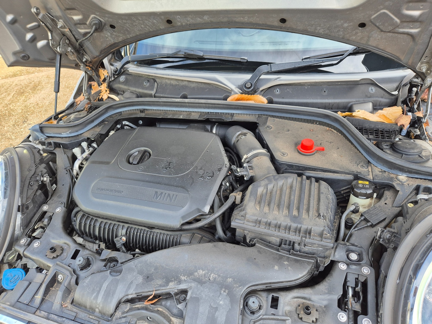 Used MINI Hatch 2018 for sale - 76480772: Photo 20