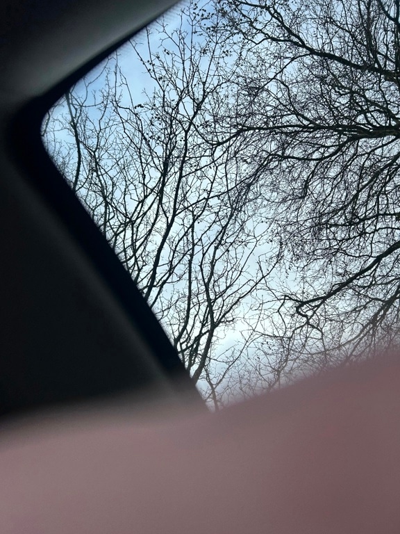 Used Citroen C4 Cactus 2015 for sale - 77522328: Photo 16